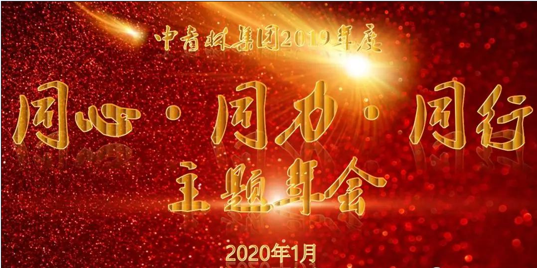 热烈庆祝中青林集团2019年度“同心、同力、同行”主题年...